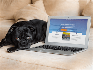 WordPress Website Veterinary Services